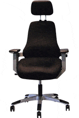 The Best Chair for Bad Backs - Canada