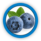 Bilberry Fruit Extract and Vitamin A