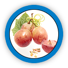 Grape Seed Extract