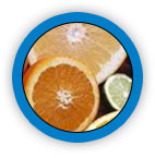 Citrus Bioflavonoids