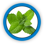 Peppermint Leaf Oil