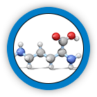 Ornithine Alpha Ketogutarate