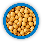 Phosphatidyl Choline