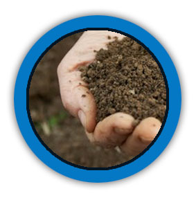 Soil-Based Organisms (SBOs)